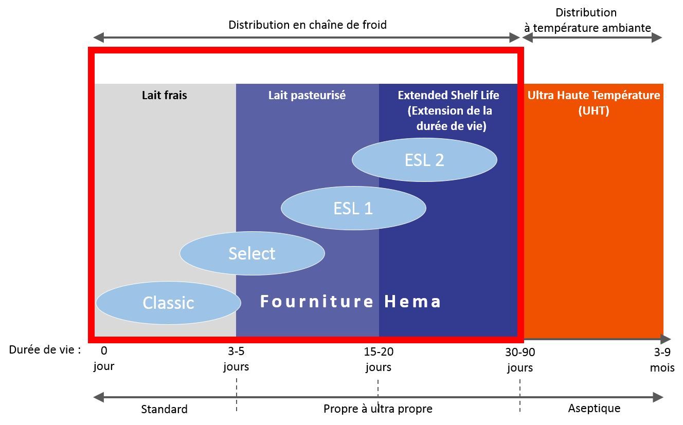 ESL chart hema filling and capping features